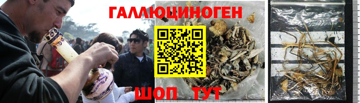 Псилоцибиновые грибы Psilocybe  Галлюциногенные грибы MAGIC MUSHROOMS  Азов  Вход с VPN 
